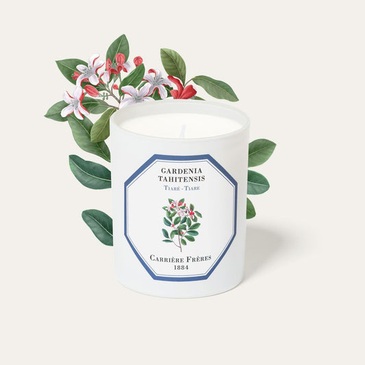 Carrière Frères Tiare Scented Candle｜梔子花 Gardenia Tahitensis
