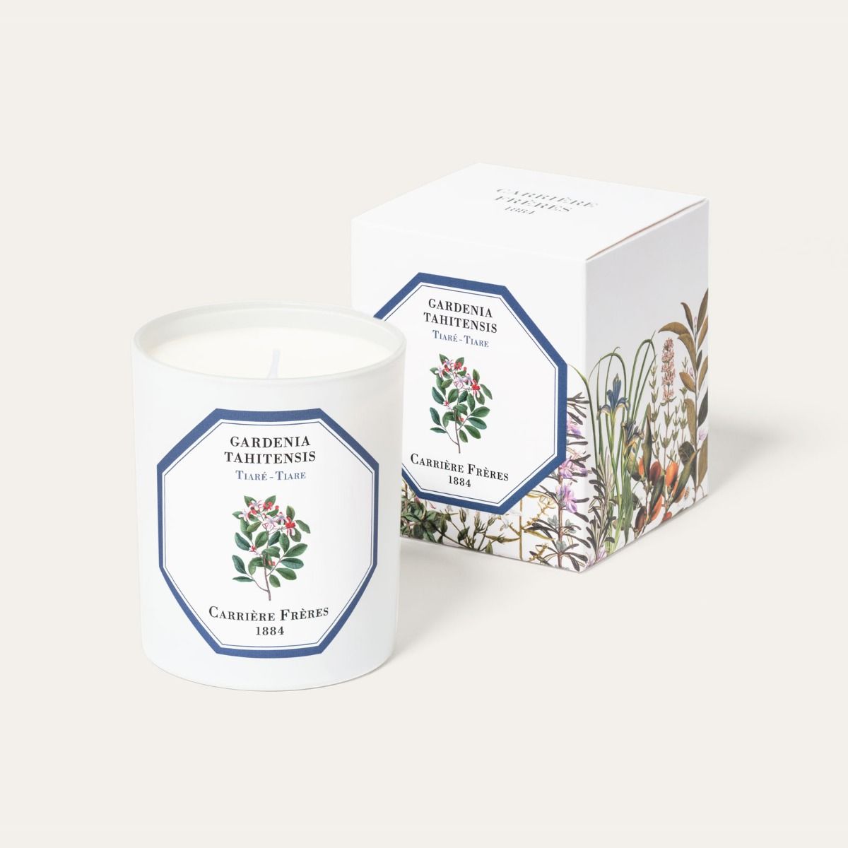 Carrière Frères Tiare Scented Candle｜梔子花 Gardenia Tahitensis