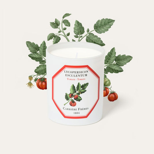 Carrière Frères Tomato Scented Candle｜蕃茄 Lycopersicon Esculentum